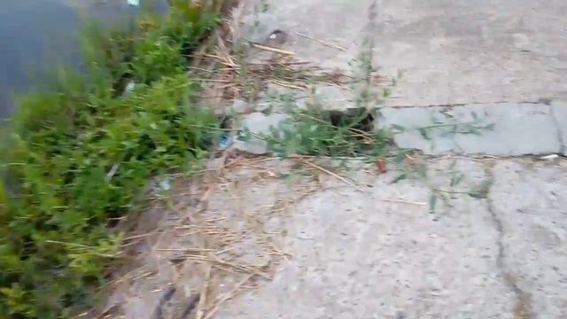 Вадаёмы Слатино 2серия смотреть онлайн
