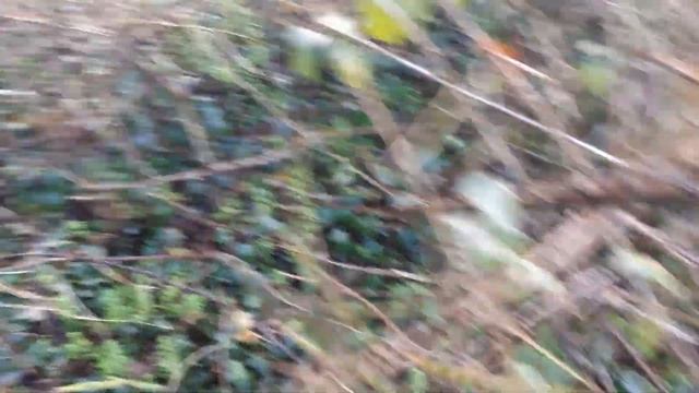 Picking Up Two Rare Ford Transit Hubcaps (trading)