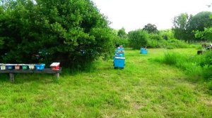 Кочевка 22 начинается !!!