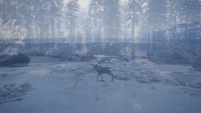 theHunter: Call of the Wild | Medved-Taiga Trailer смотреть онлайн