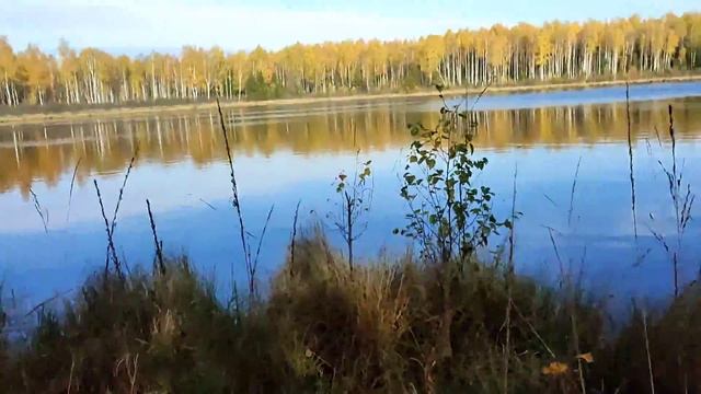 Кратко о прошивке РМ800 смотреть онлайн