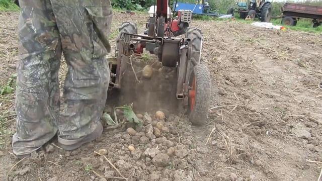 копалка смотреть онлайн