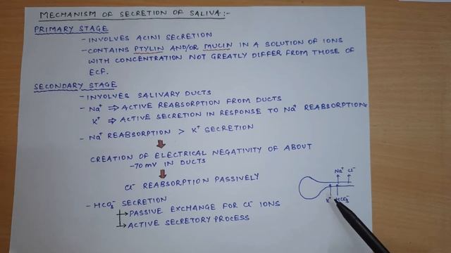 Saliva And Salivary Gland || Juices of GIT - 1 || Gastrointestinal Physiology смотреть онлайн