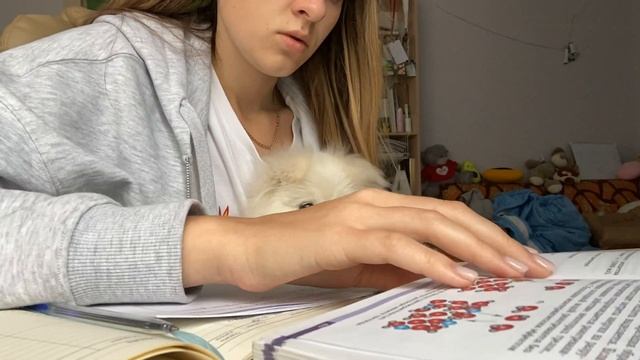 продуктивный study with me|домашнее задание|подготовка к экзаменам|красивые конспекты|мотивация смотреть онлайн