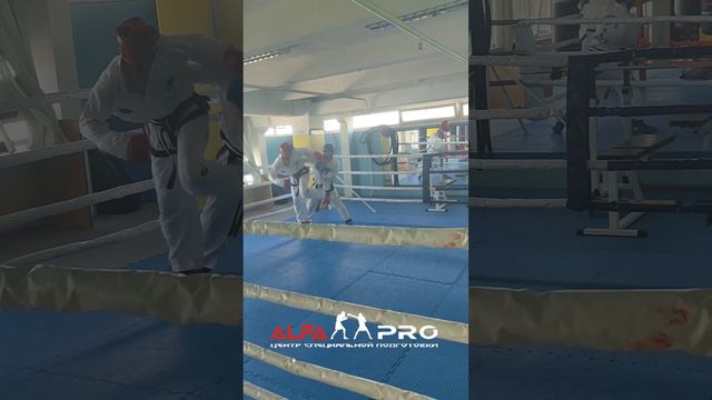 Субботние спарринги в Альфа Про