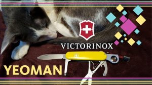 Victorinox Yeoman - РЕДКИЙ НОЖ // Custom SAK Review