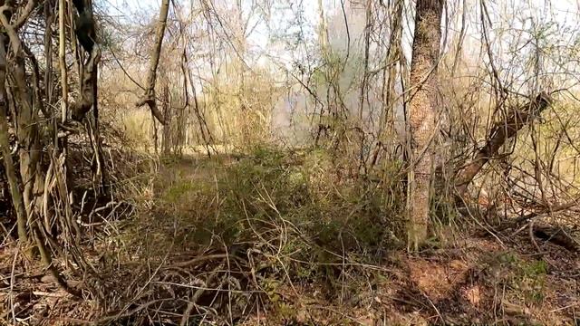 FIRST CONTROLLED BURN ON THE 140 YEAR OLD FARM смотреть онлайн