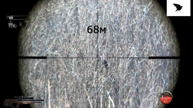 Crow Hunting Кроухантинг Карррааантин!!!