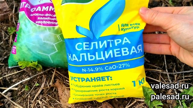 МАЛИНА ЗАВАЛИТ УРОЖАЕМ ЕСЛИ СДЕЛАЕТЕ ЭТО ВЕСНОЙ! Обрежьте и подкормите так малину весной! смотреть онлайн