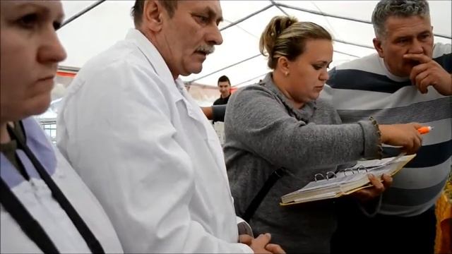 Экспертиза Орпингтона.Никишин А.В.