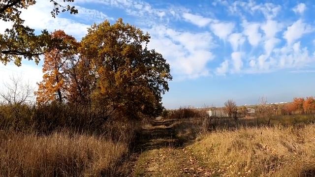 Эти два типа женщин мужчины считают неотразимыми. смотреть онлайн