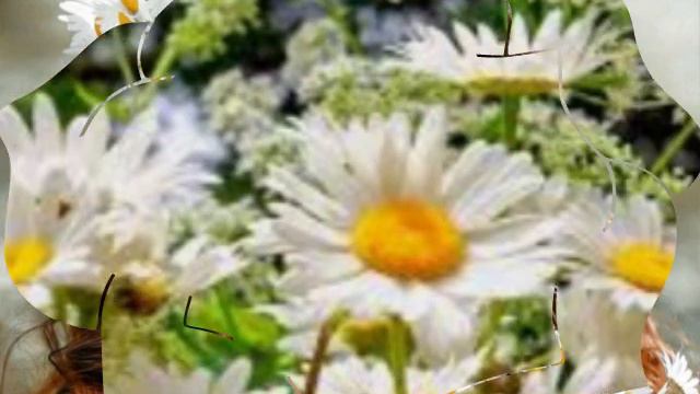 1000001853.mp4 смотреть онлайн