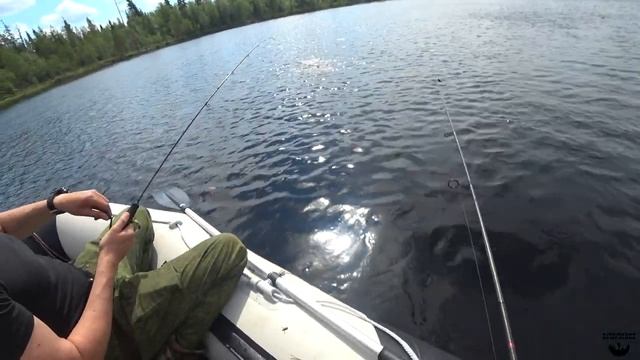 ЯЗЬ СЕВЕРНОЙ КАРЕЛИИ "СПИННИНГ"ЛОУХСКИЙ РАЙОН 2021. смотреть онлайн