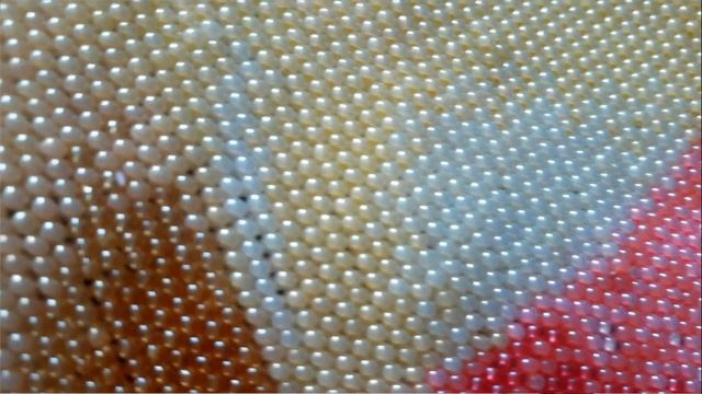 "Благородство. Колдовство бисера", половина работы смотреть онлайн