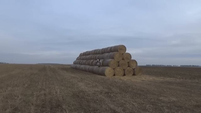 Лиска за 2 и 0 5 минуты смотреть онлайн