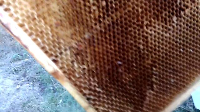 ХРАНЕНИЕ СУШИ НА УЛИЦЕ Секреты начинающим смотреть онлайн