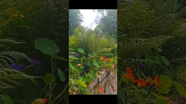 Руинный мост смотреть онлайн