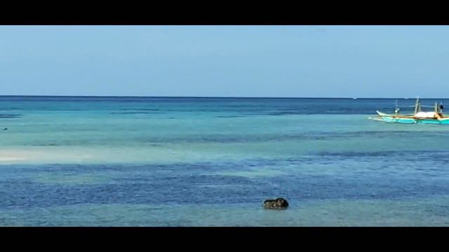 Santa Fe dogs treading salty waters for fun.... 🐕🐕🐕🐕 смотреть онлайн