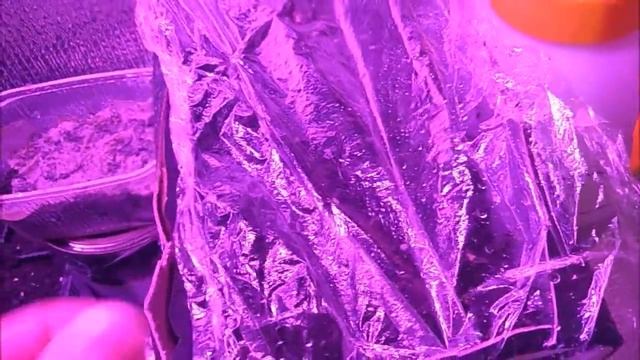 Рассада баклажан ,перца, томатов и других культур!!!Ленинградская область!!!4.03 смотреть онлайн