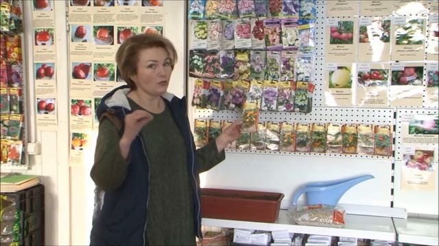 Комнатные цветы в декабре. Комнатное овощеводство - обзор возможностей. смотреть онлайн