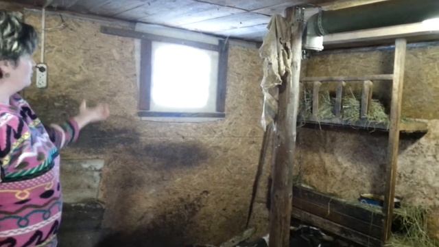 Содержание коров, как подоить корову смотреть онлайн