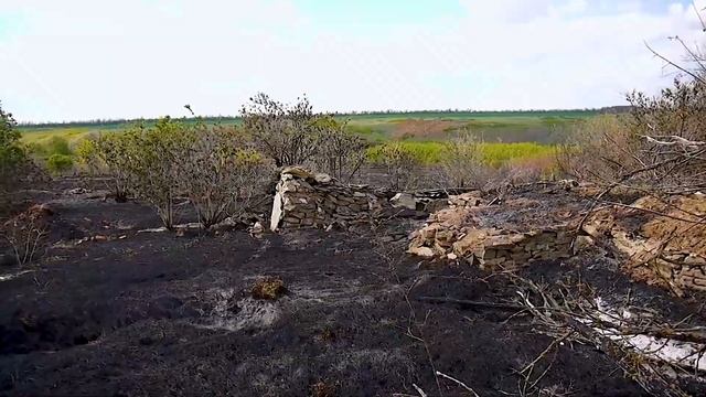 заброшенный хутор в Донских степях смотреть онлайн