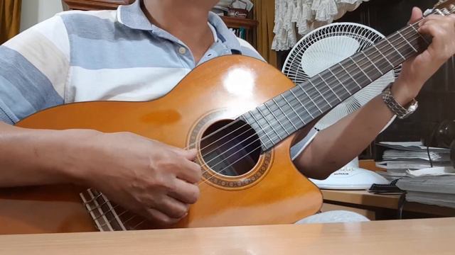 Lính xa nhà (Trịnh Lâm Ngân) unplugged sound with Yamaha CG-110CE & Alice strings Vlog #947-3 смотреть онлайн