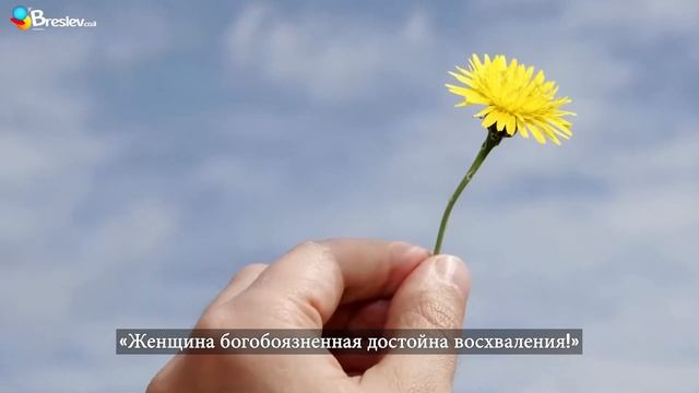 Самый лучший макияж! | Рав Шалом Аруш смотреть онлайн