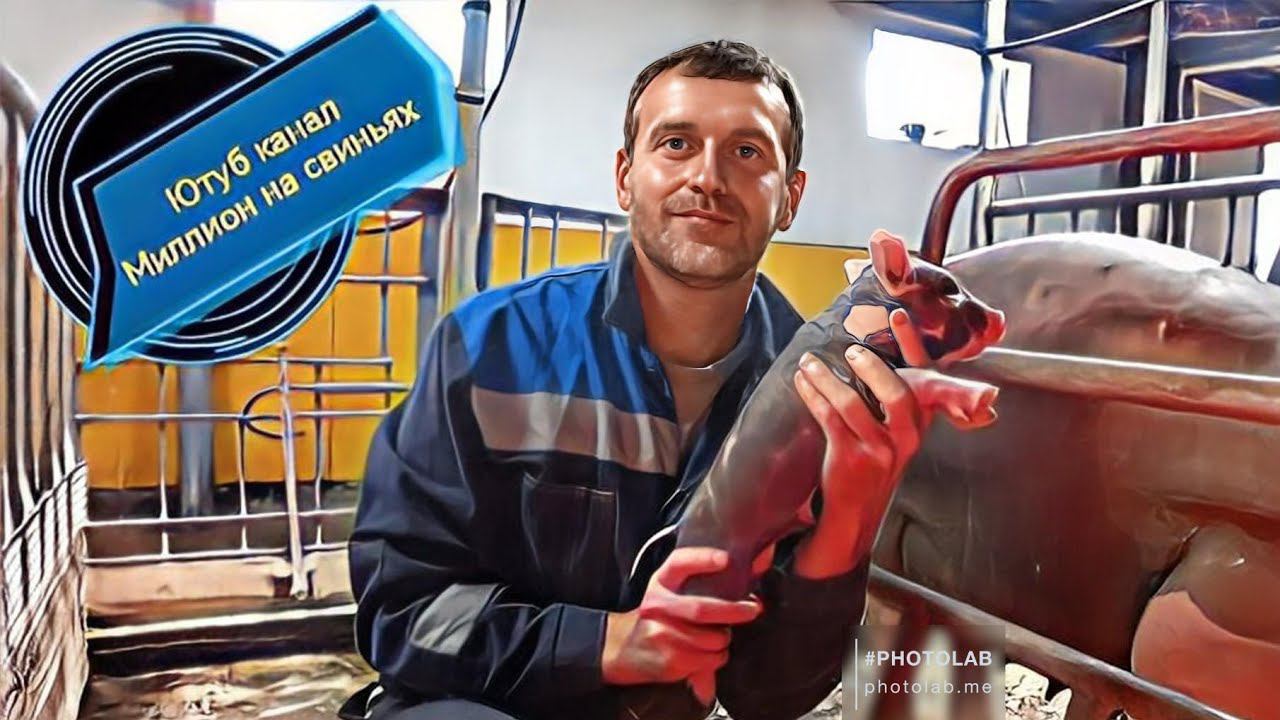 Нас 50 тысяч подписчиков Переделываю гараж в свинарник ‼️ смотреть онлайн