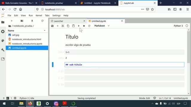 Cómo usar JUPYTER NOTEBOOK ? qué es JUPYTERLAB [Curso Python Data Science Español] смотреть онлайн