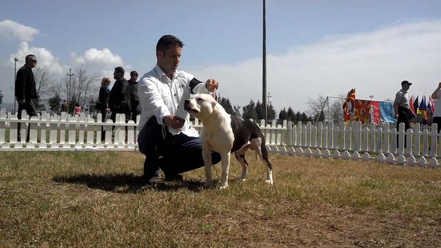 No.1 Dollar MK Pride from Iron Squad смотреть онлайн