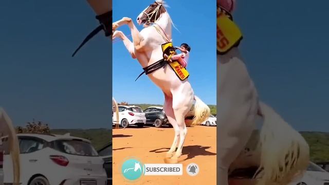 спортивная гоночная девушка