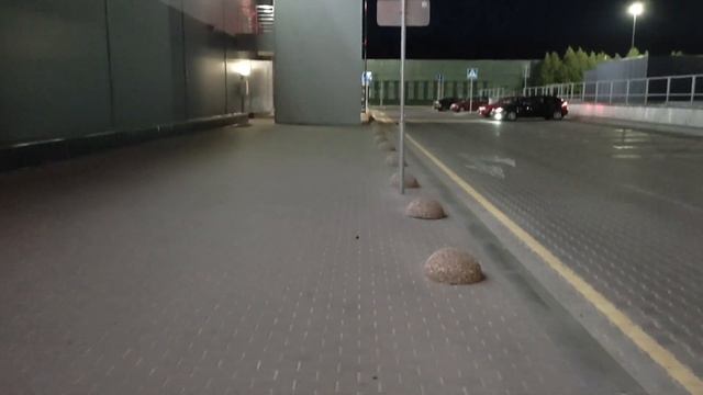 Как найти жука носорога? смотреть онлайн