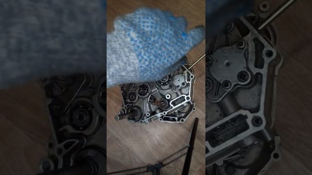 Сборка двигателя мопеда альфа смотреть онлайн