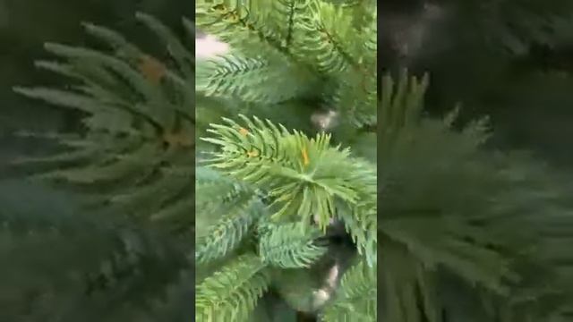 Искусственная ель литая "Новгородская" смотреть онлайн