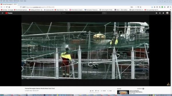Heliopan IR/UV Cut Filter & Responses to Comments