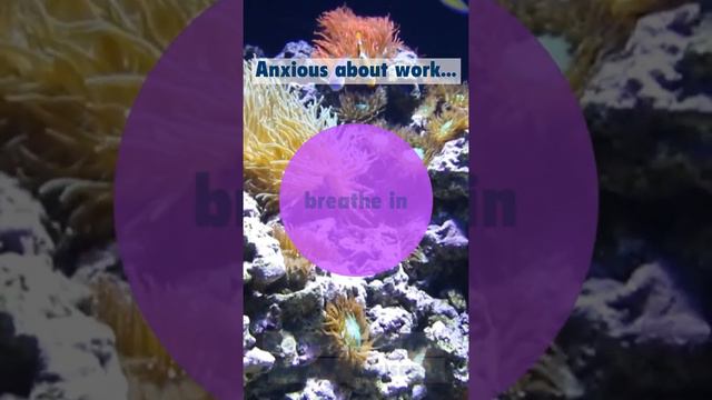 Lully: Meditation & Calm - An easy way to reduce anxiety смотреть онлайн