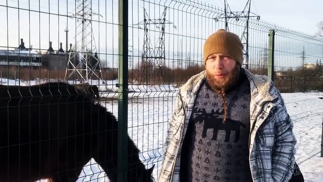 НЕ БЫЛ ТАМ ВОСЕМЬ МЕСЯЦЕВ, И ВОТ ЧТО Я УВИДЕЛ! ЧТО ПРОИСХОДИТ НА МАНСАРДЕ. смотреть онлайн