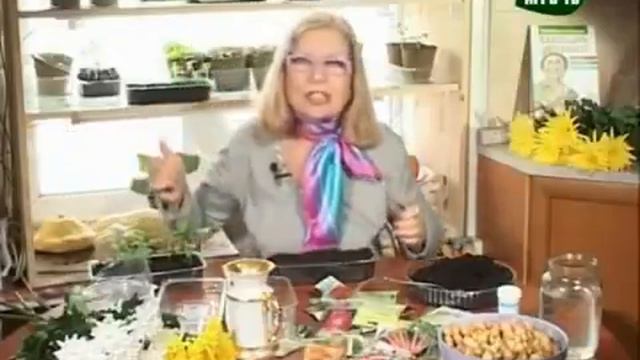 Октябрина Ганичкина. Сеем перцы.