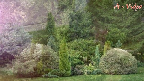 ?Красивый сад своими руками Идеи для вдохновения / Original ideas for landscape design / A - Video