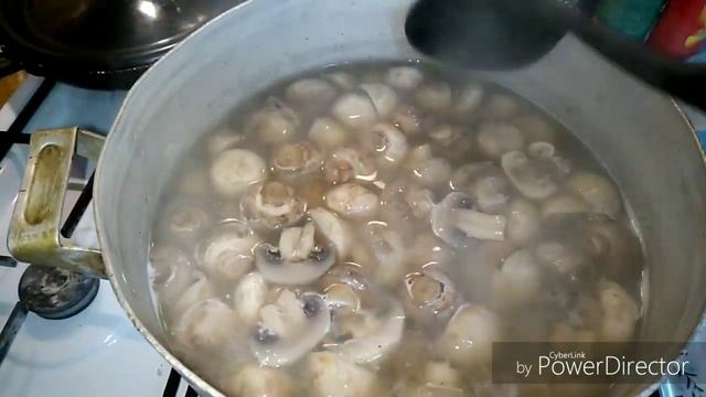 Вкусные рецепты с грибами