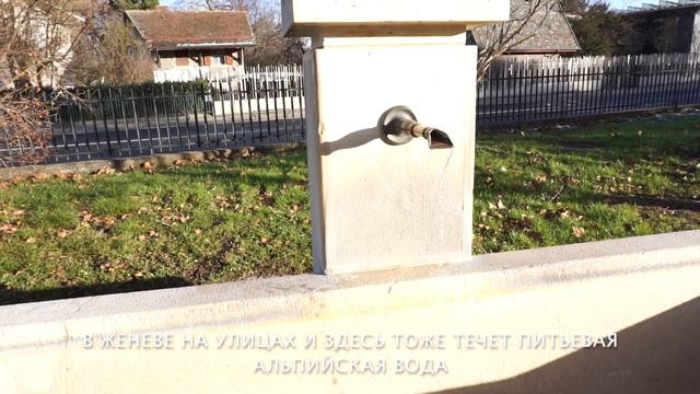 Прогулки по Женеве #1 Ботанический сад смотреть онлайн