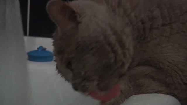 в пьянстве замечен не был, но по утрам жадно пил холодную воду ))) смотреть онлайн