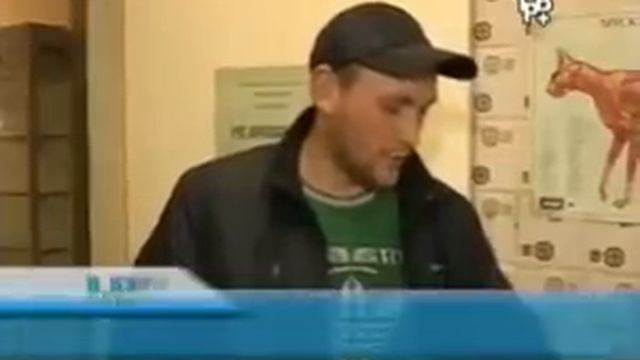 Ветеринарная клиника Краснознаменска смотреть онлайн