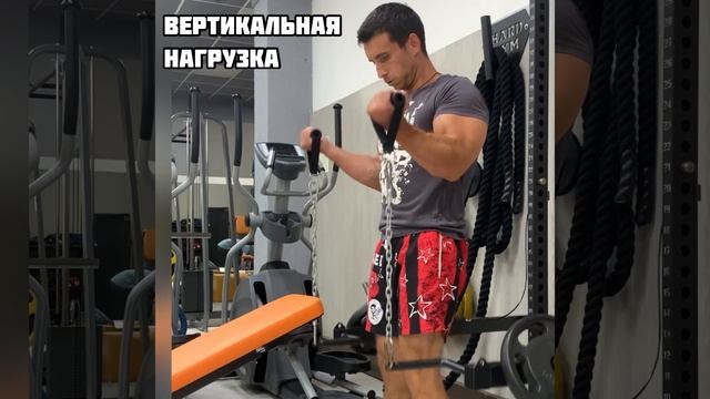 Тренировка бицепса дома на DTR