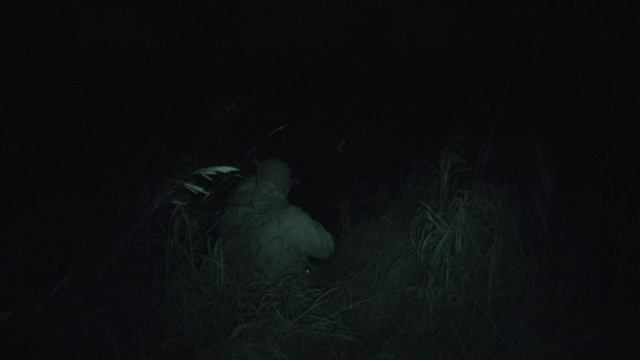 Охота на бобра с тепловизором #21 castor fiber смотреть онлайн