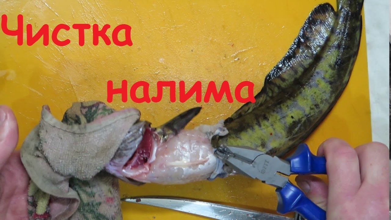 Лайфхак чистка налима от кожи