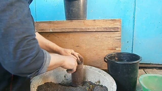 Размножение Годжи в посуде смотреть онлайн