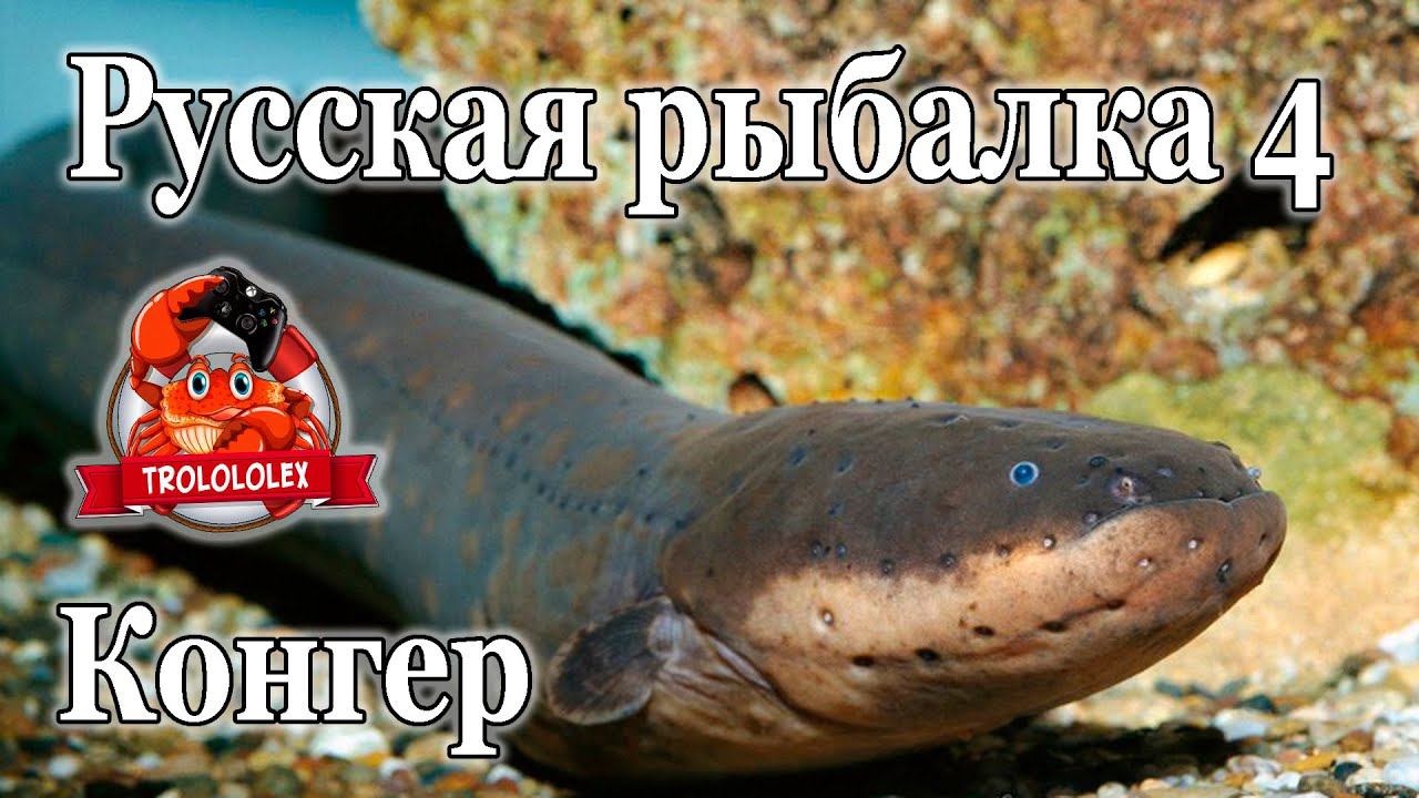 Русская рыбалка 4 Конгер смотреть онлайн