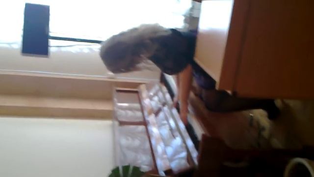 Анастасия Конфеткина, "Реквием по мечте" смотреть онлайн